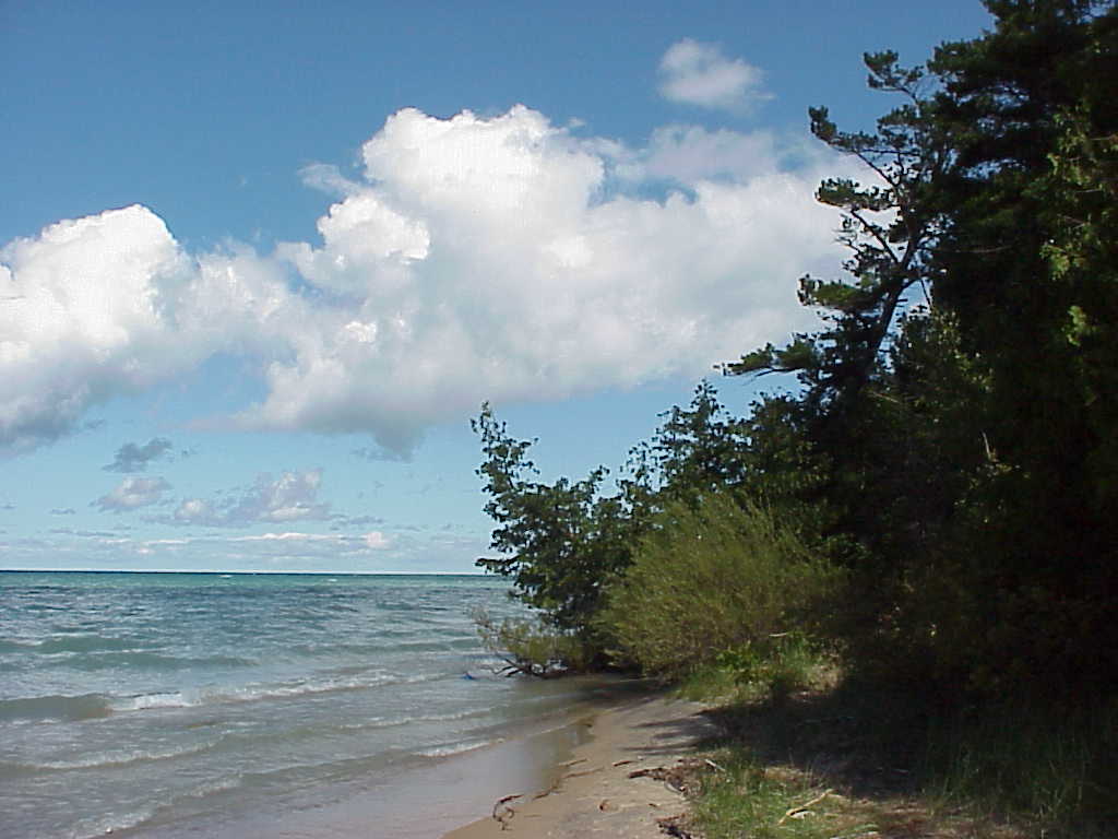 Shore