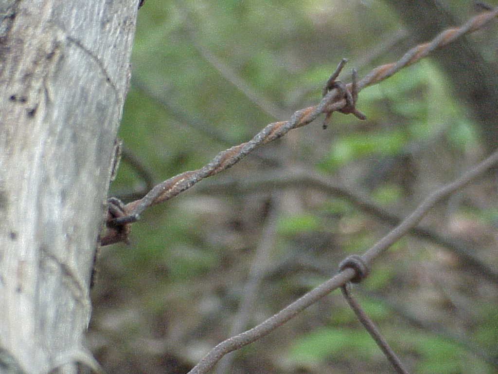 Fence