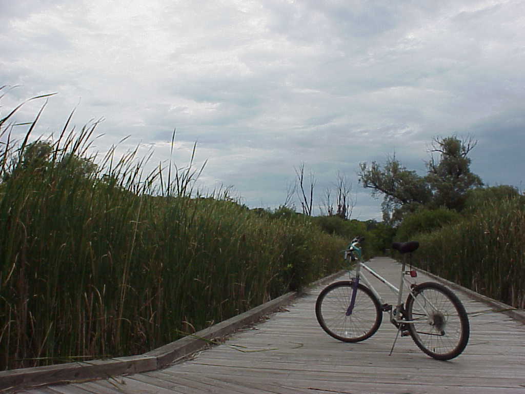 Bike on boardwalk