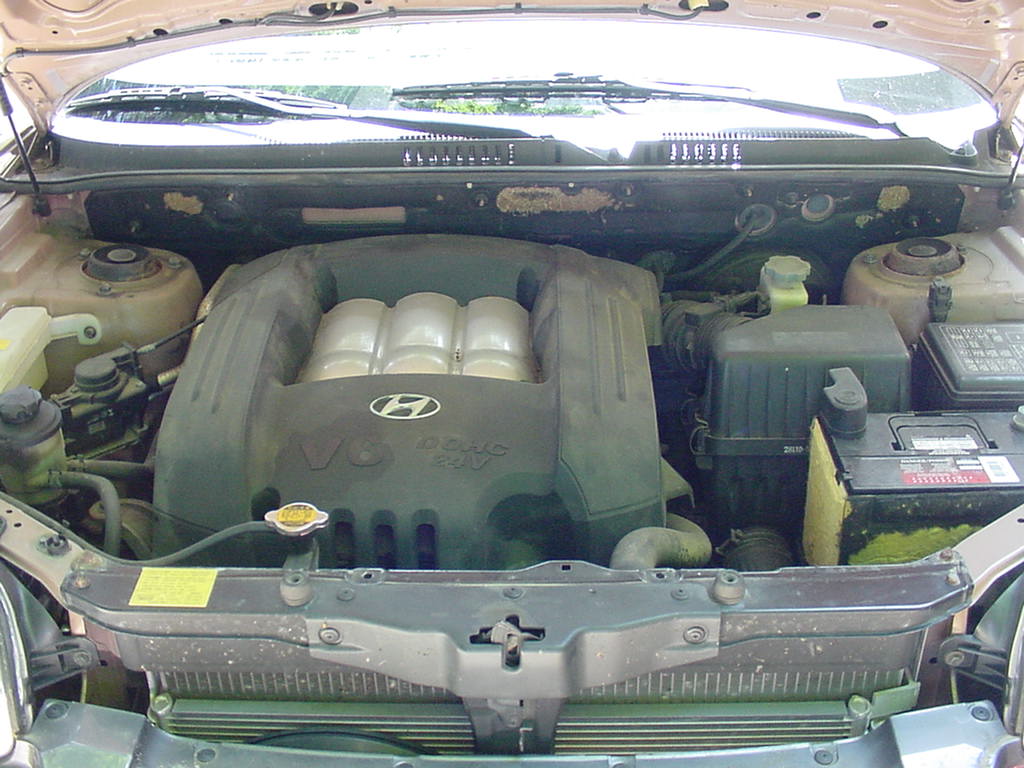 2004 Hyundai Santa Fe GLS 4WD engine