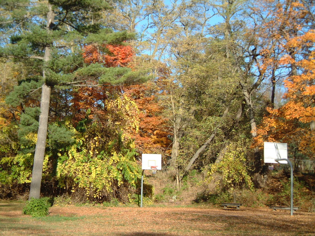 Basketball court