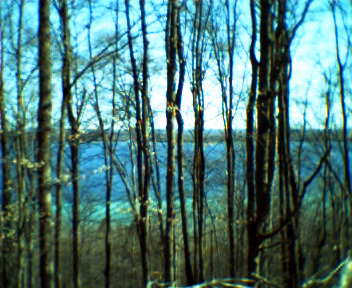 Keychain Digital Camera - Trees and lake