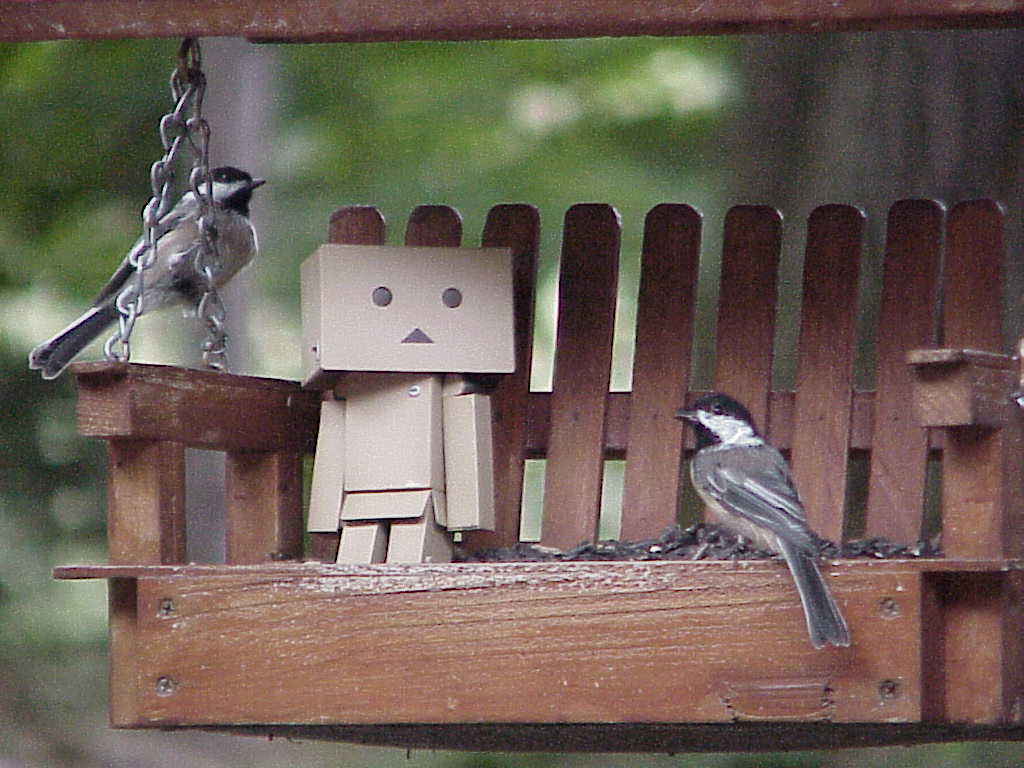 Danbo in the bird feeder