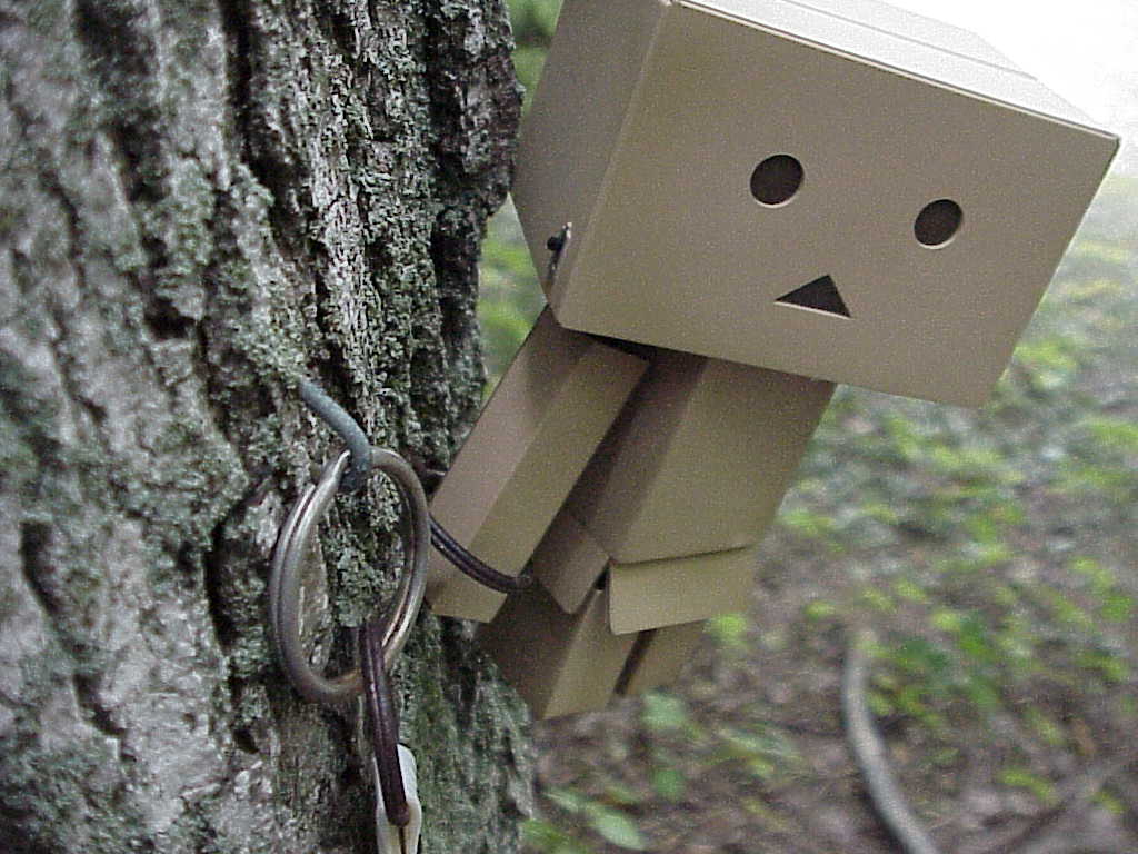 Danbo hanging in a tree