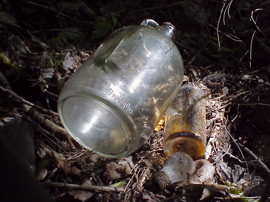 Old bottles and a light bulb