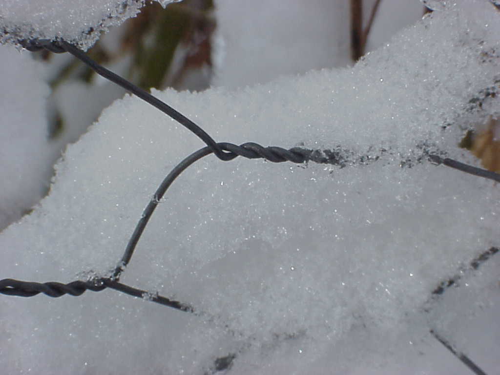 Snow on wire fence