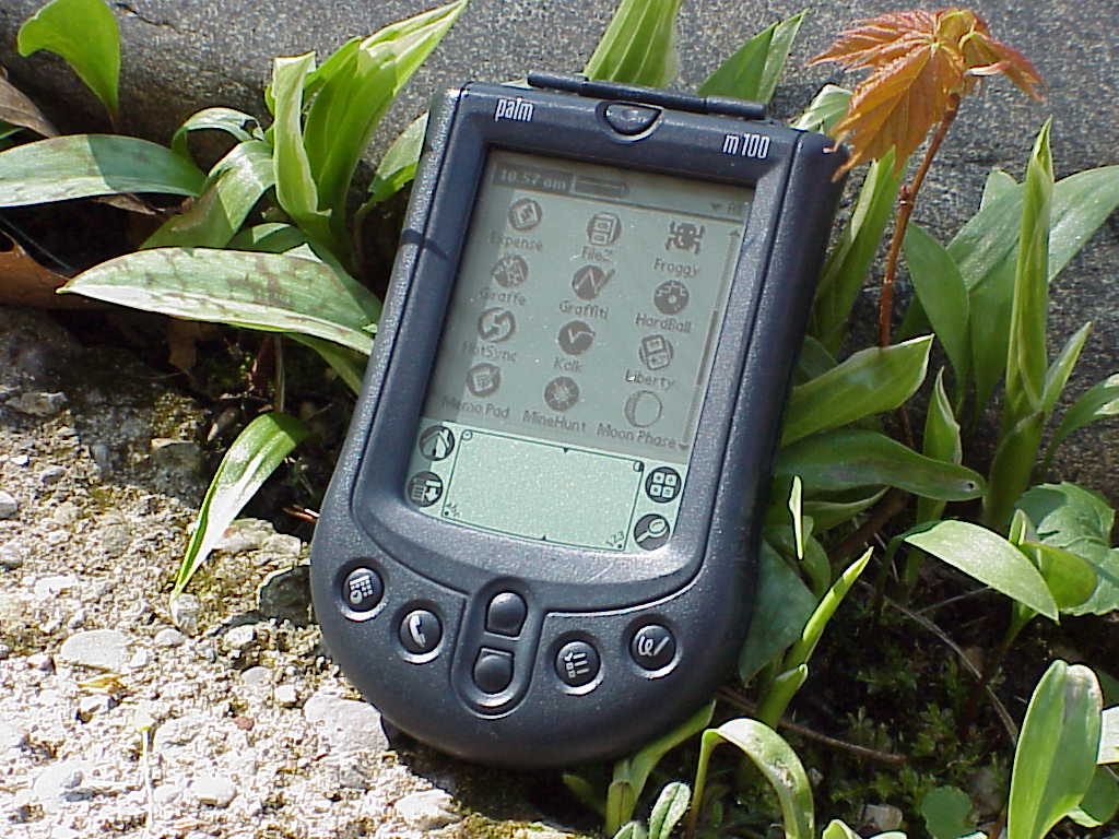 Palm m100 PDA