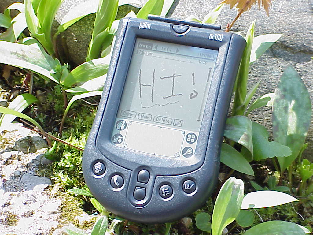 Palm m100 PDA - Note app