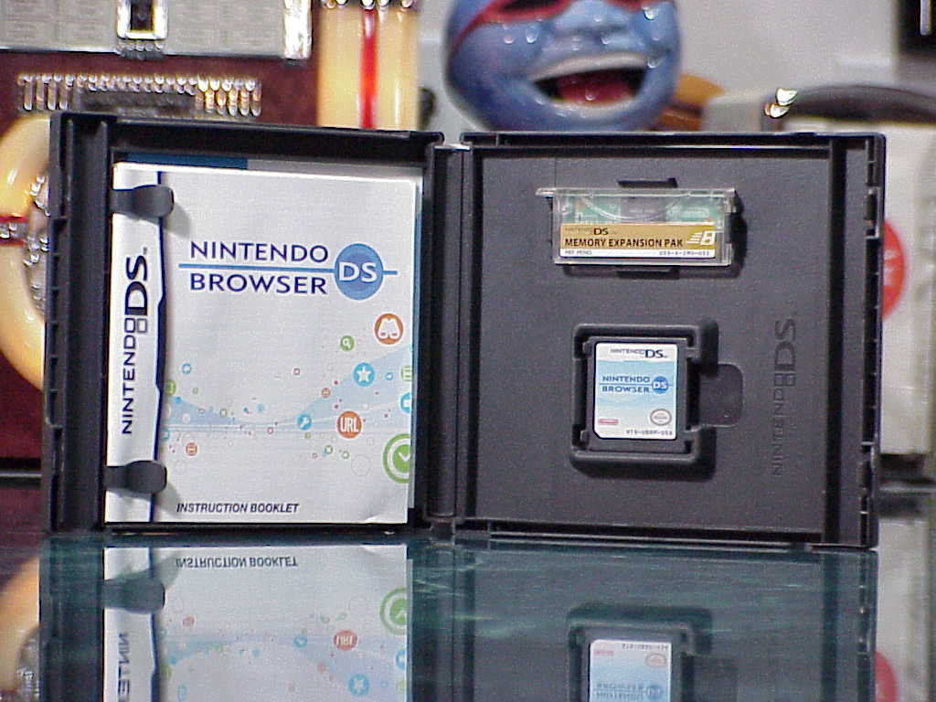 Nintendo DS Browser inside