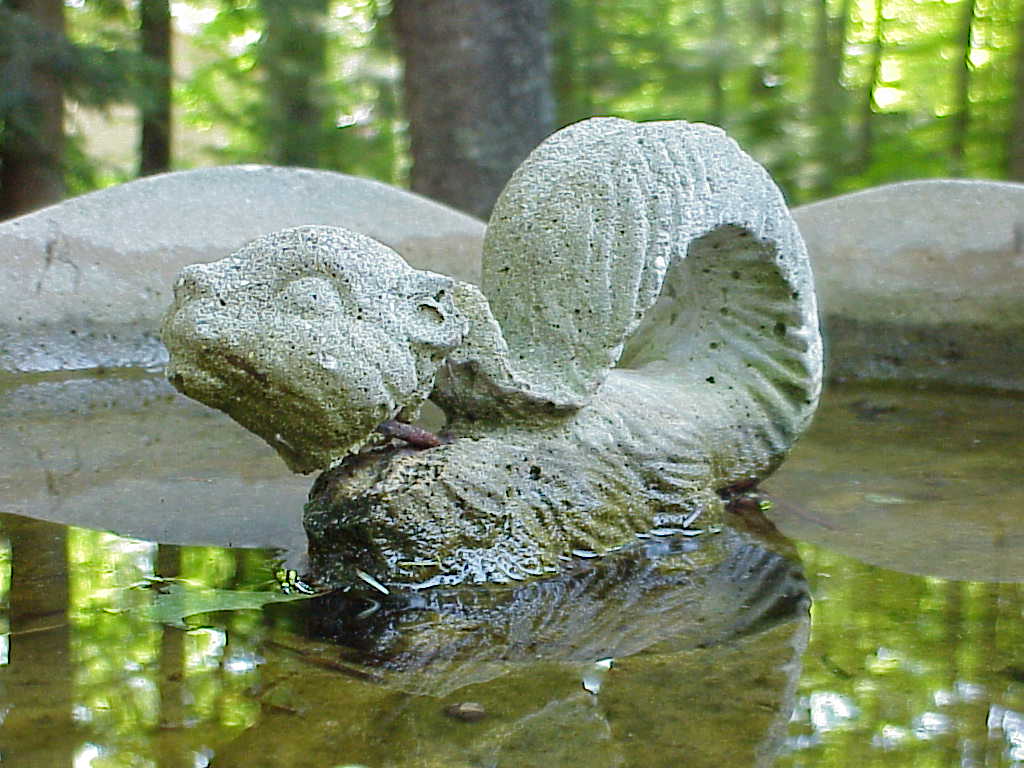 Bird bath with squirrel statue