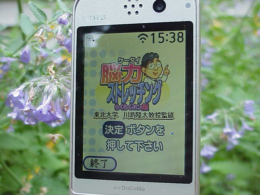 NTT docomo F883iESS Cell Phone brain game