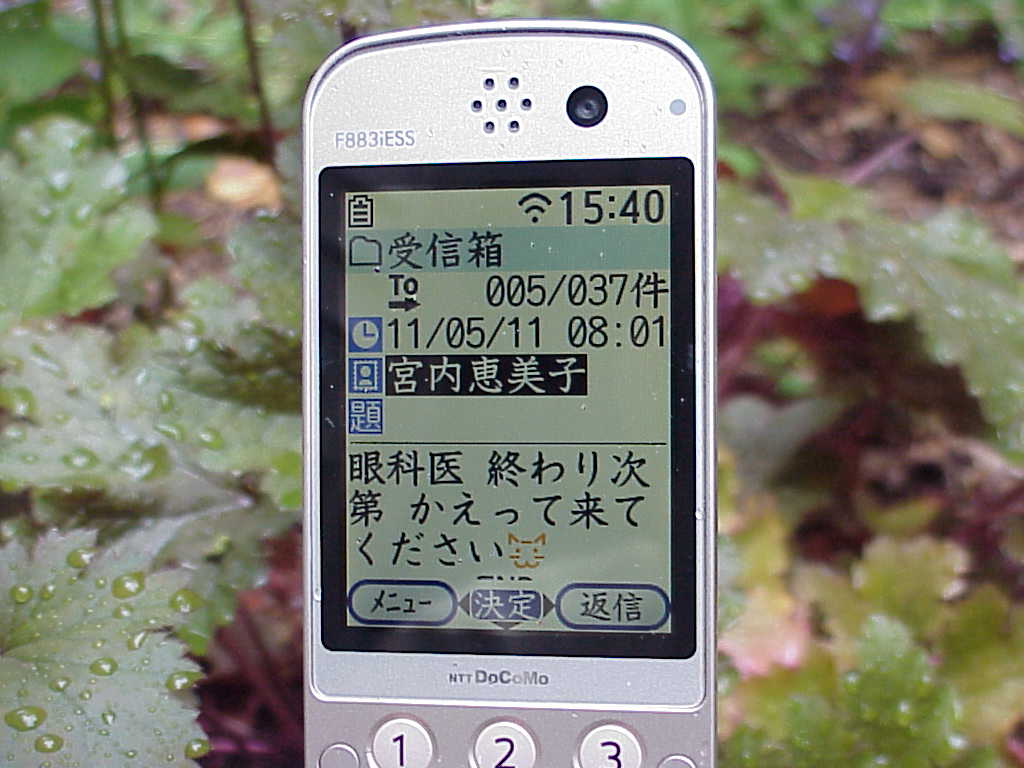 NTT docomo F883iESS Cell Phone text message