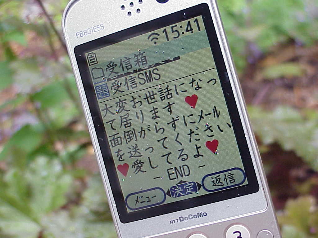 NTT docomo F883iESS Cell Phone text message