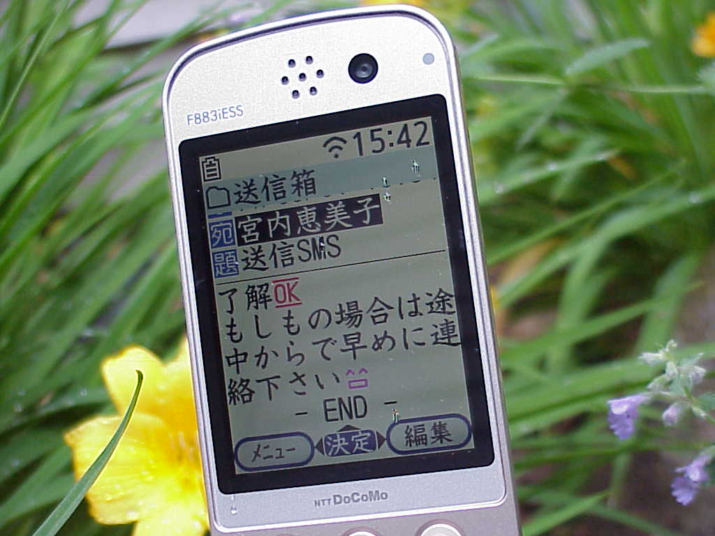 NTT docomo F883iESS Cell Phone text message