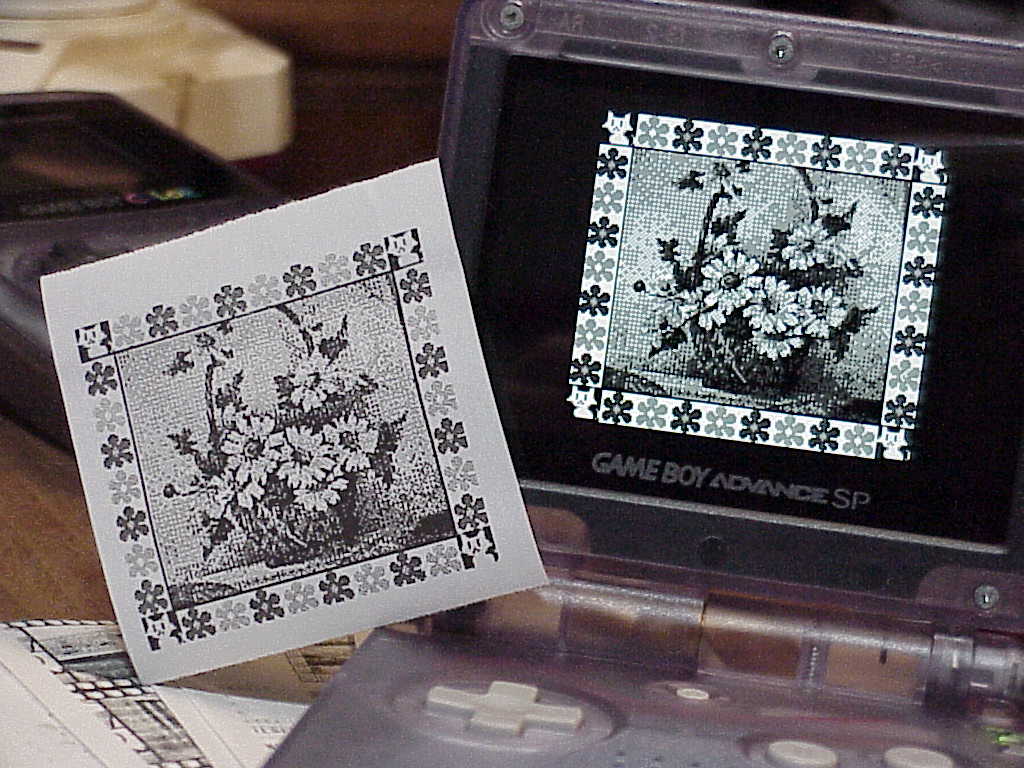 Game boy camera print-out