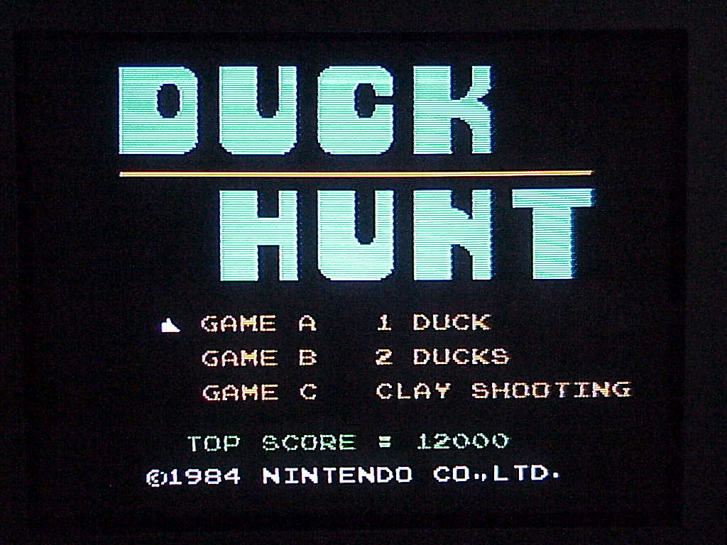 Duck Hunt screenshot