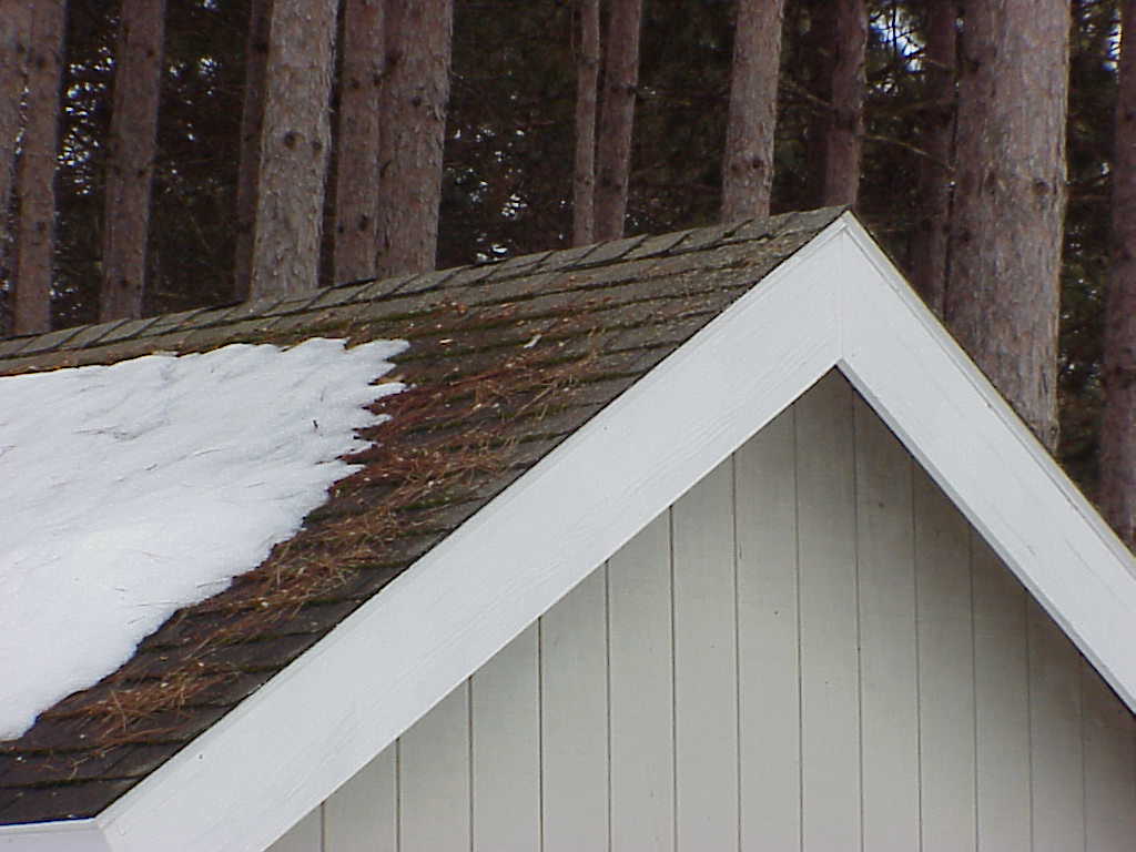 Melting snow off roof