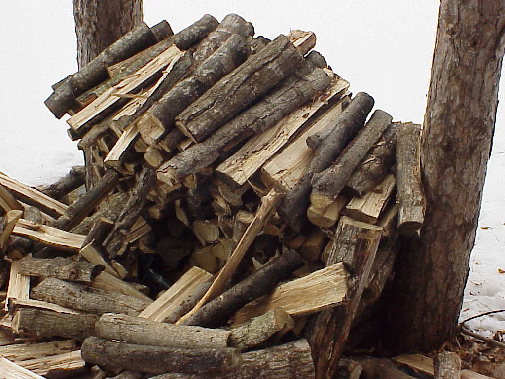 Fallen wood pile