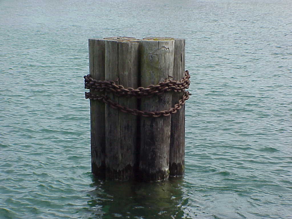Pillars in lake