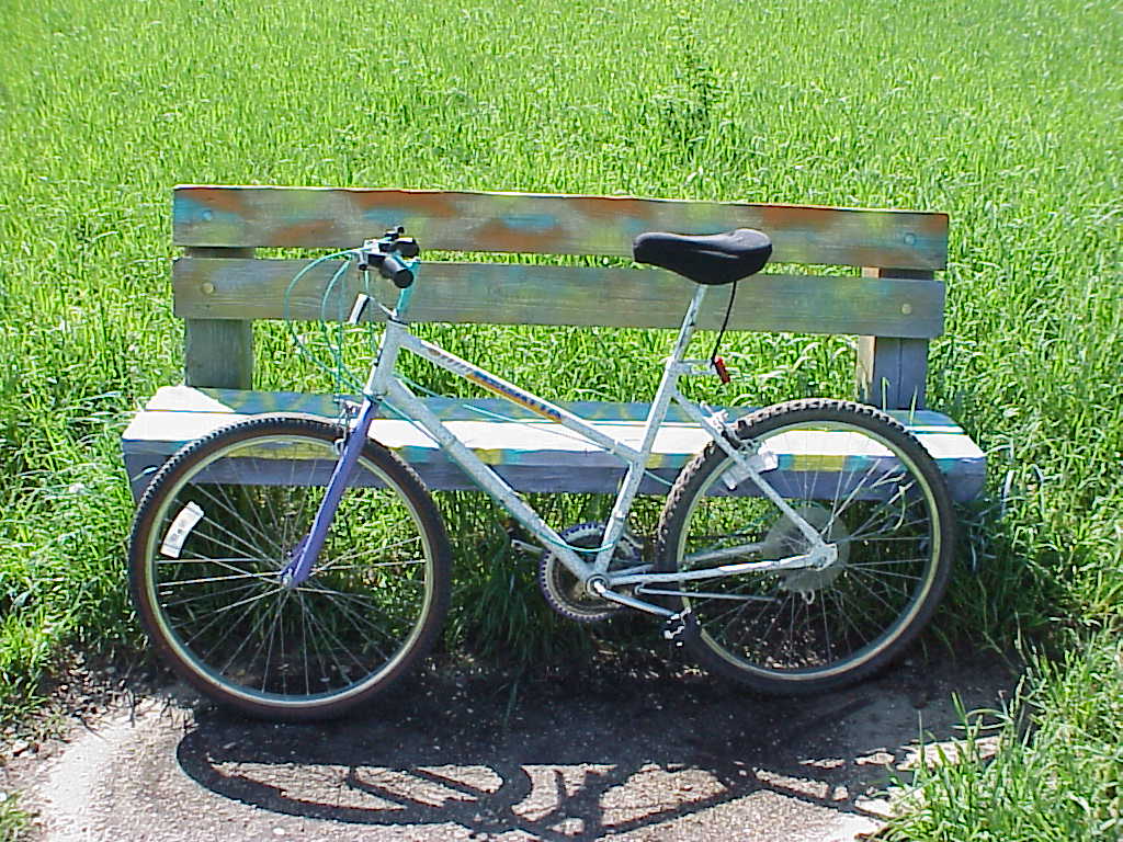 Bike in front of bench