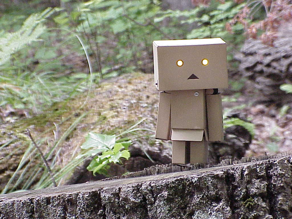 Danbo on a stump in the woods