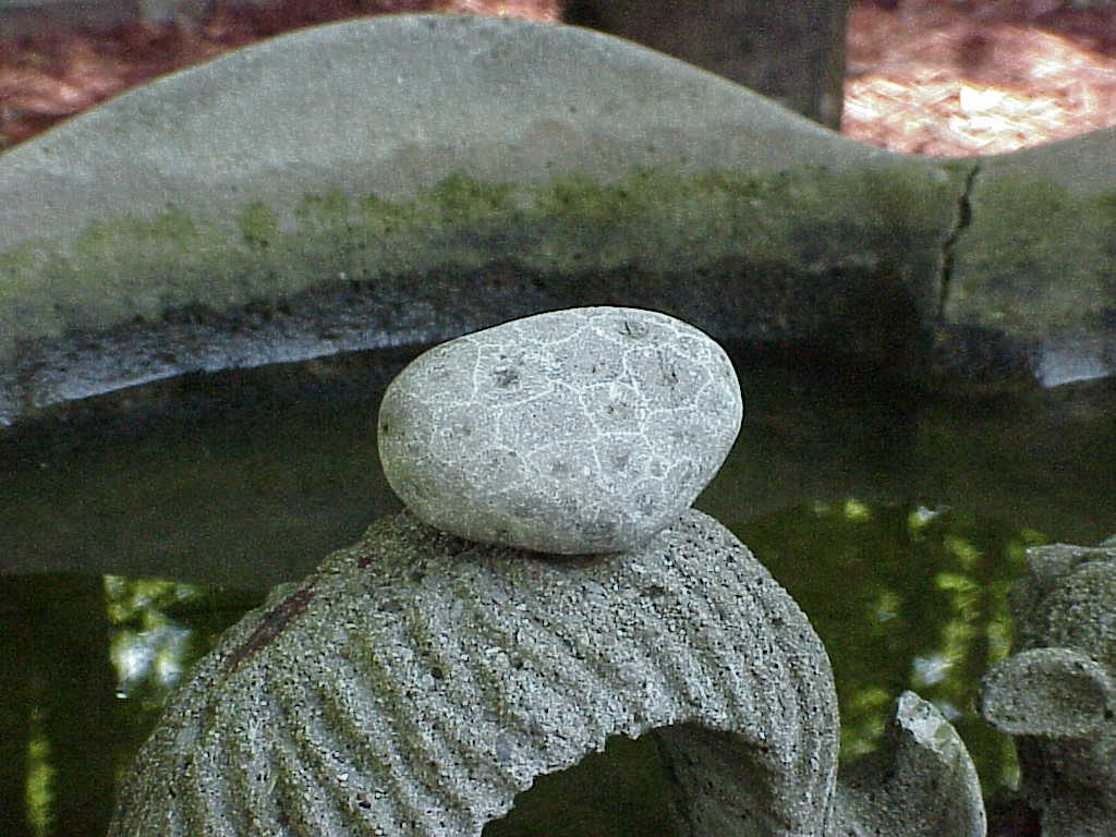 Petoskey stone