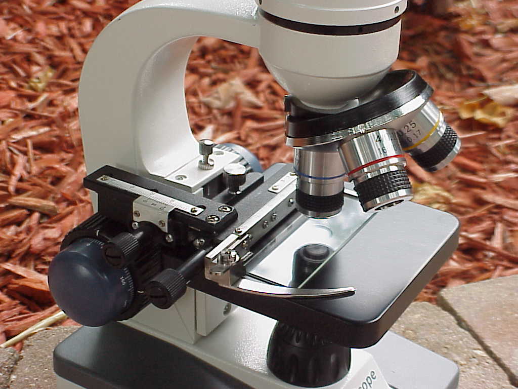 Amscope M150C microscope