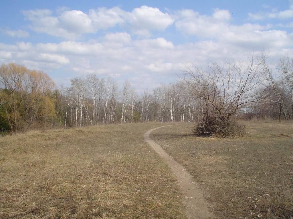 Path through field
