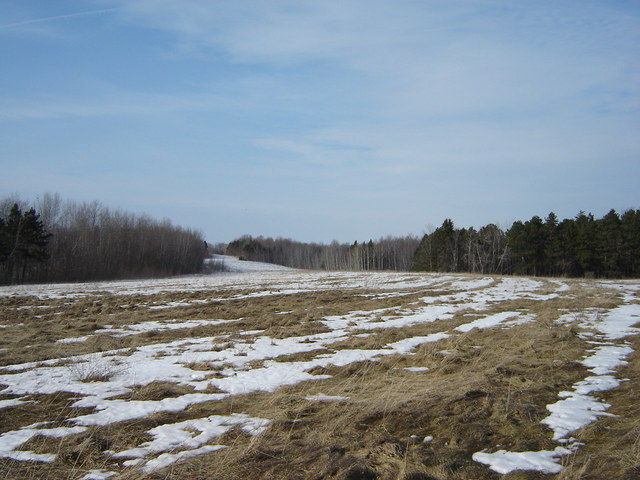 Field