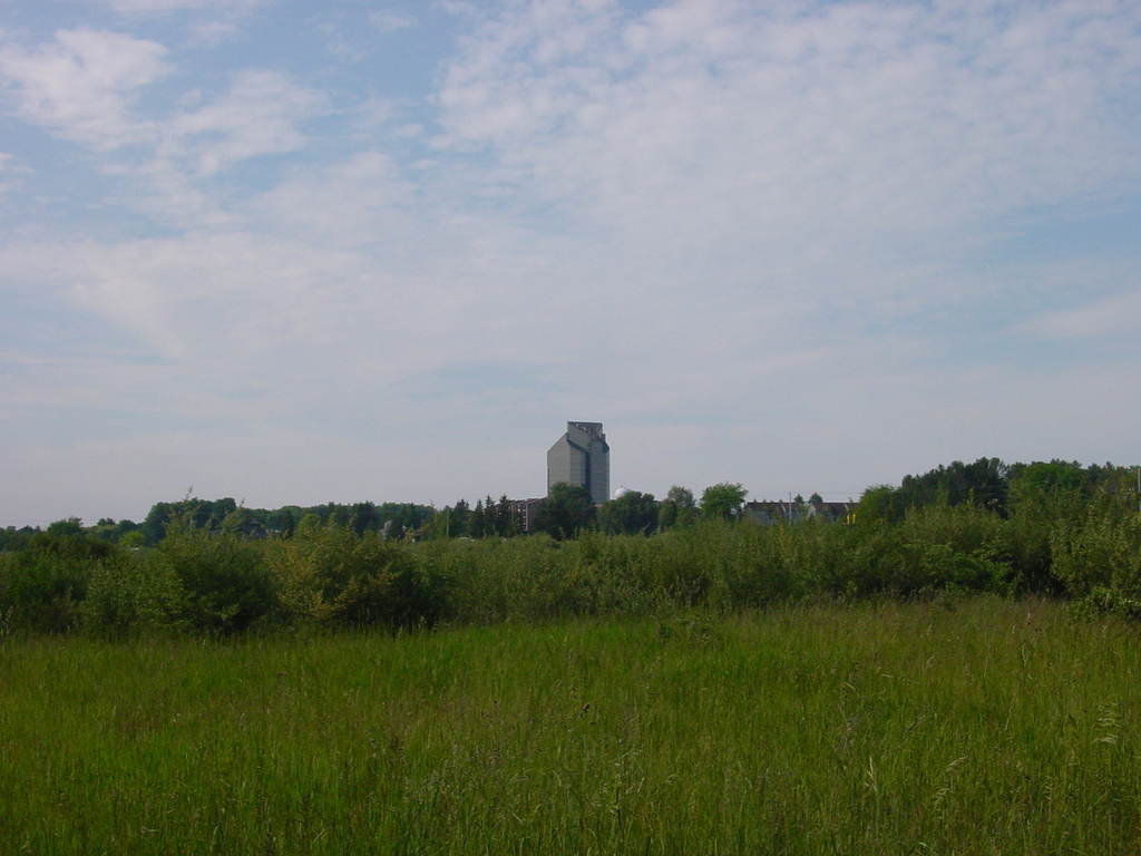 Field with tall building