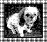 Nintendo Game Boy Camera photo - Dog