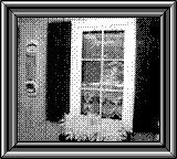 Nintendo Game Boy Camera photo - Window