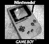Nintendo Game Boy Camera photo - Game Boy