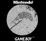 Nintendo Game Boy Camera photo - Microbe under microscope