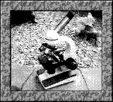 Nintendo Game Boy Camera photo - Amscope M150C microscope