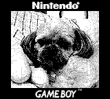 Nintendo Game Boy Camera photo - Dog