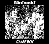 Nintendo Game Boy Camera photo - Long grass