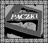 Nintendo Game Boy Camera photo - Paczki donuts