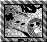 Nintendo Game Boy Camera photo - Super Famicom controller