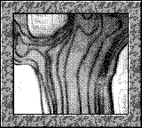 Nintendo Game Boy Camera photo - Map