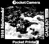 Nintendo Game Boy Camera photo - Snow melting