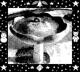 Nintendo Game Boy Camera photo - Bird bath