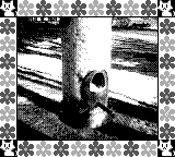 Nintendo Game Boy Camera photo - Bird feeder