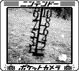 Nintendo Game Boy Camera photo - Snow height meter