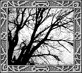 Nintendo Game Boy Camera photo - Tree