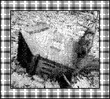 Nintendo Game Boy Camera photo - Bird house