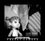 Nintendo Game Boy Camera photo - Yotsuba with flags