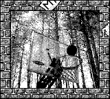 Nintendo Game Boy Camera photo - Basketball hoop