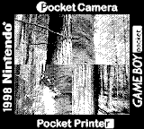 Nintendo Game Boy Camera photo - Tree