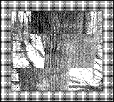 Nintendo Game Boy Camera photo - Tree